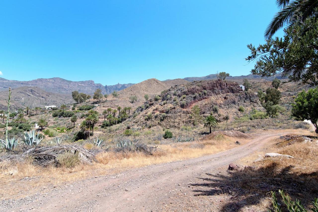 El Algarrobero * Santa Lucia De Tirajana
